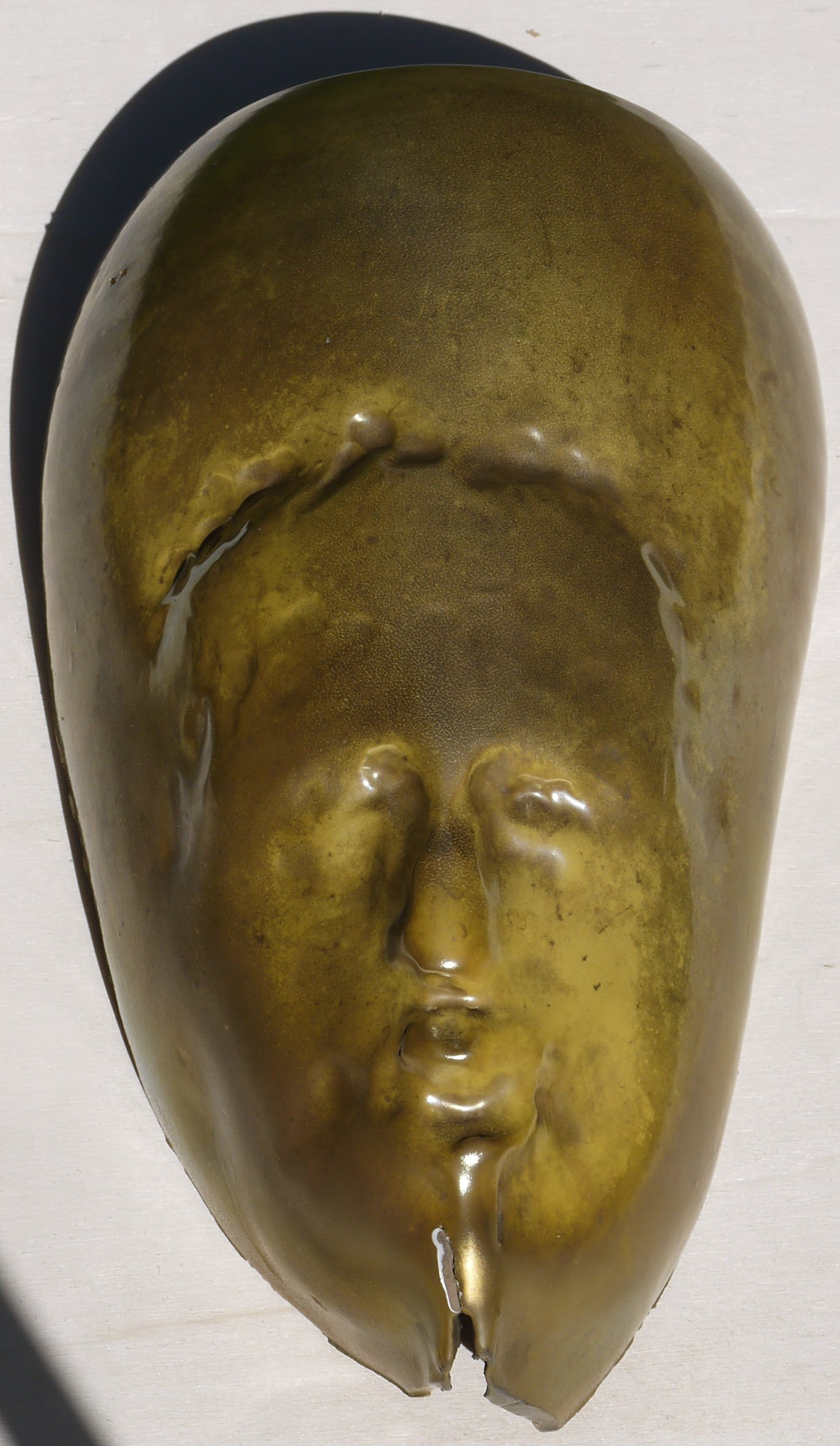 autoritratti da dentro